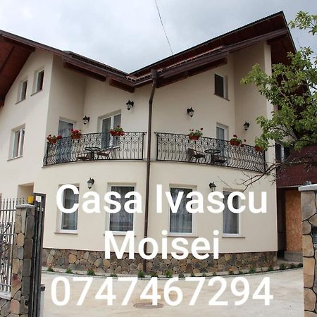 Casa Ivascu Moisei Hotel Exterior foto