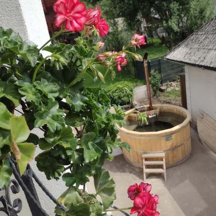 Popasul Calatorului Hotel Moisei Exterior foto